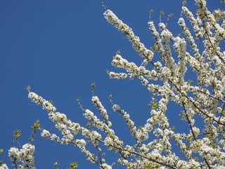 Weer een top lentedag! 