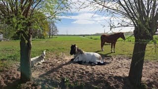Heerlijk genieten in de zon:)