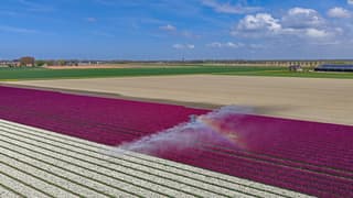 Beregenboog door straffe wind