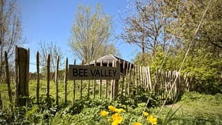 Nationale Bijentelling 2026