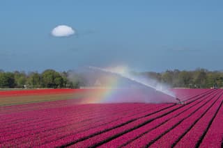 Droog