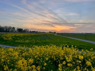 Zonsondergang Bleiswijk