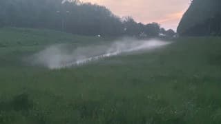 Koeienpotenmist boven sloot langs N215 Stellendam