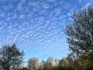 Wolkendek boven de Bollendek
