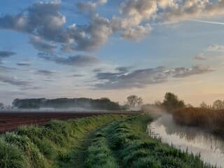 Mist deze ochtend