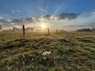 Zonsopgang