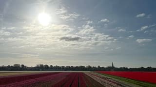 Lisse bij zonsopkomst 