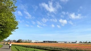 De eerste ‘chinezen’ gespot