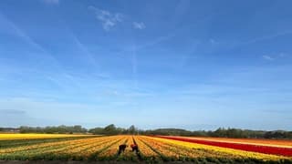 De laatste hand gelegd..