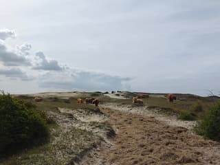 Heerlijke weer voor een wandeling 