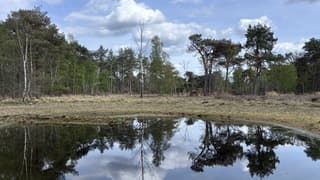 Weerspiegeling