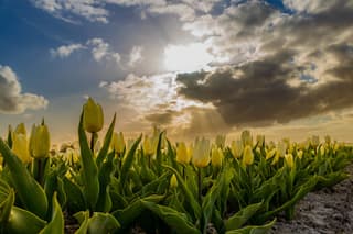 Zon piekt tussen de wolken door