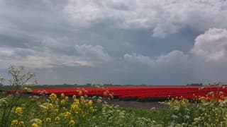 Een regenbui zou zeer welkom zijn