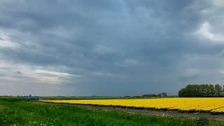 Een regenbui zou zeer welkom zijn 