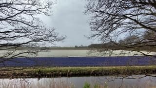 Een regenbui zou zeer welkom zijn 