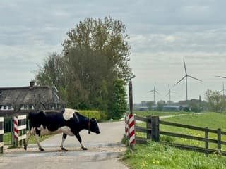 De blauwe lucht verdwijnt al langzaam 