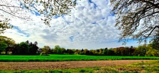 Perfect wandelweer 