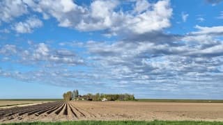 Opklaringen boven de aardappelruggen