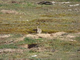 Lief konijntje maar wat is het droog!