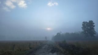 Zonsopkomst in de mist