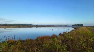 Langzamerhand veranderde de mist in blauw