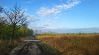 Vlak na de mist een prachtig gezicht