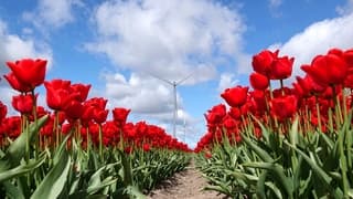 Zon wolken en een stevige wind