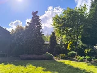 Tuin in Bakel