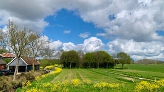 Lente