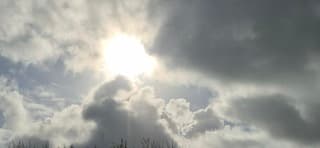 Weersverandering opkomst 