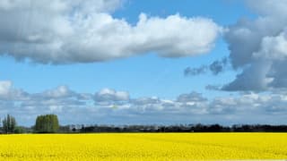 Richting noord/westen zag het er vriendelijker uit