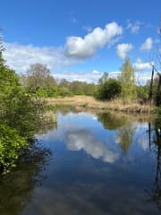 Rustig weer Natuurpark Lelystad