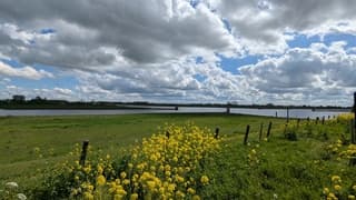 Stapelwolken 