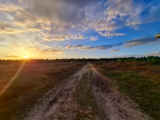 Boswandeling in schittering 