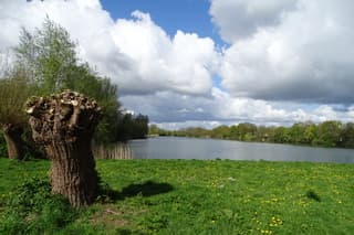 Donkere wolken boven de Nevelhorst.