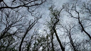 Bewolking neemt het over