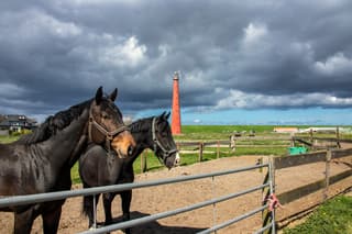 Fris, zon en af een toe een spatje regen 