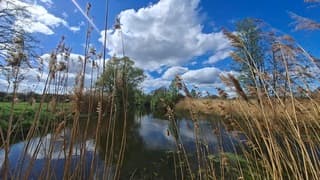 Doorkijkje tussen het riet naar stapelwolken lucht weerspiegeld in het water