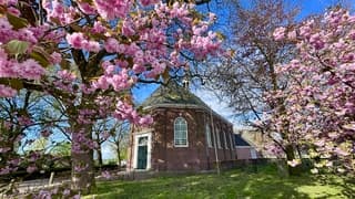 Zonnig begin van de dag