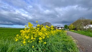 Zon en dreigende wolken
