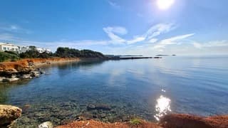 Zonovergoten en warm op Ibiza 