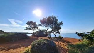 Genieten van de Spaanse zon op Ibiza 