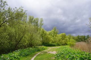 Zon en wolken