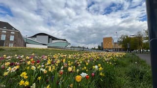 Bloemenpracht in centrum van Breda.