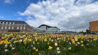 Bloemenpracht in centrum Breda.