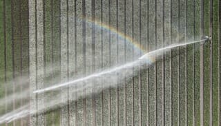 Besproeien tulpen met regenboog