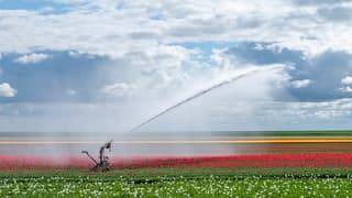 Droogte
