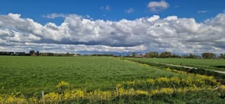 Hollandser kan het niet