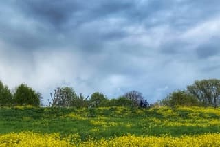 Frisse noordenwind, op de dijk Mijdrecht