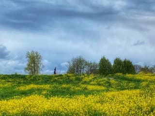 Nog even een rondje lopen, geen straf in zo’n omgeving.